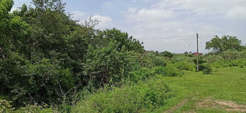 Imagen 7 de 8 de Terreno En Venta En Morelos