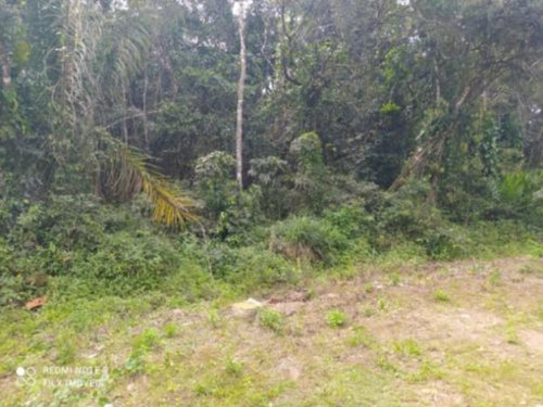 Imagem 1 de 4 de Terreno Lado Serra Em Itanhaém= Referência: 8722