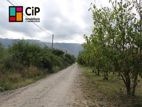 Imagen 12 de 15 de Venta De Lote En Villa De Merlo Barrio Las Moreras