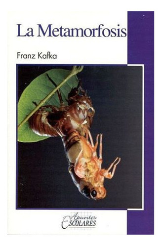 La Metamorfosis: La Metamorfosis, De Franz Kafka. Serie 1, Vol. 1. Editorial Epoca, Tapa Blanda, Edición Edesa En Español, 2019