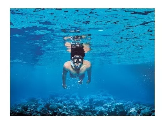 Tercera imagen para búsqueda de tanque buceo