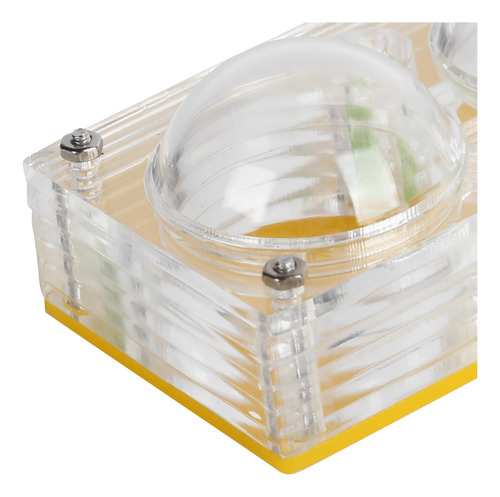 Maletín De Alimentación Acrílico Transparente Ant Moisturizi