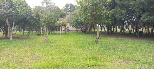 Imagem 18 de 30 de Chácara À Venda, 4000 M² Por R$ 450.000,00 - Cadiz - Gravataí/rs - Ch0004
