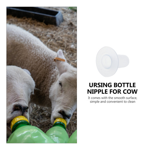 Chupete Beverages Goat, 10 Unidades