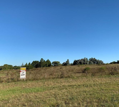 Imagen 4 de 9 de Parcela De 14.000 M2 En Acceso A Colón