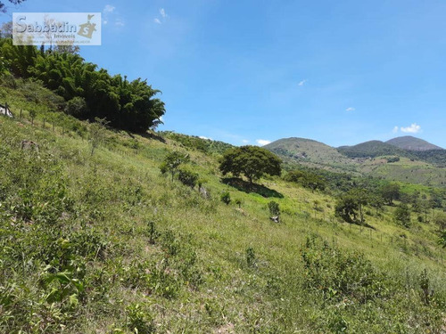 Imagem 5 de 5 de Terreno À Venda, 10000 M² Por R$ 450.000,00 - Secretário - Petrópolis/rj - Te0230