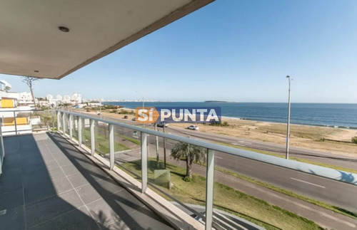 Imagen 18 de 18 de Apartamento En Alquiler - Mansa