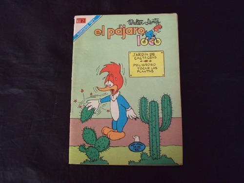 El Pajaro Loco # 2-538 (novaro)