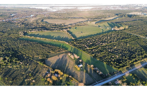Vendo Casa De Campo En 3 Has En Concepción Del Uruguay, Entre Ríos.