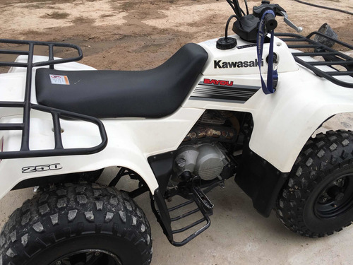Kawasaki Bayou 250