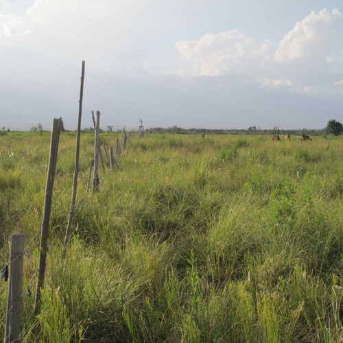 Campo Con Vertiente En Venta Tunuyán Valle De Uco