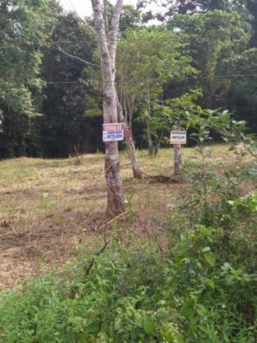 Imagem 3 de 4 de Terreno De Chácara No Parque Vergara, Em Itanhaém, Com 1000 M² De Área Total, Aceita Entrada E Parcelas
