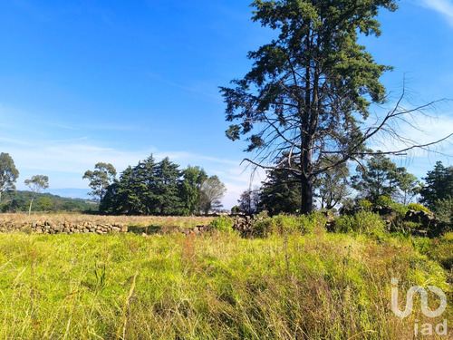 Venta Terreno 0 Ambiente La Mora
