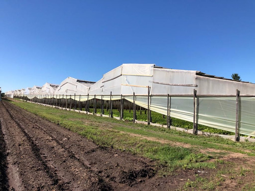 Campo En Venta En Florencio Varela