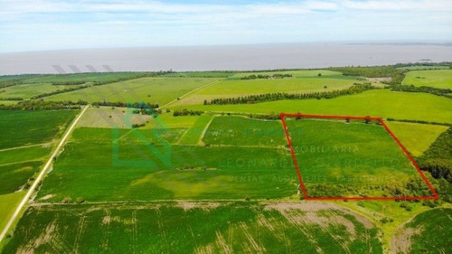 Imagen 3 de 5 de Martin Chico, Colonia - Campo Con Vistas Al Rio De La Plata Y A La Costa Argentina