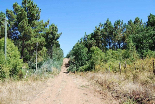 7ª Región Catillo Excelente Inversión Terreno 3 Casas