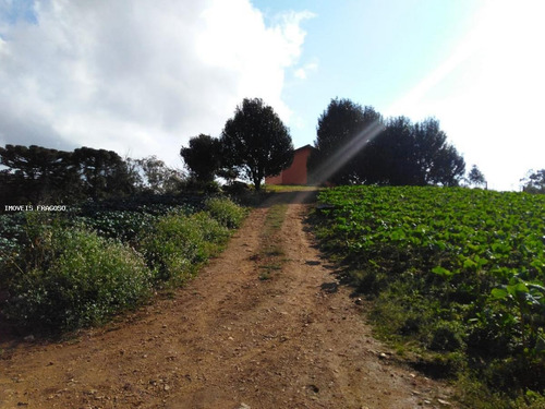 Imagem 10 de 15 de Chácara Para Venda Em São José Dos Pinhais, Colonia Murici - 50.230_1-1392071