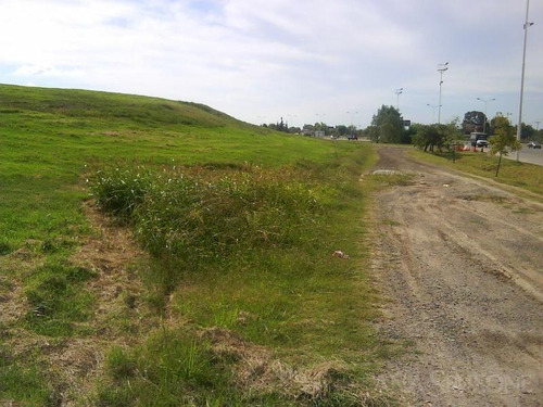 Imagen 26 de 30 de Excelente Terreno De 17 Ha, Sobre Camino Del Buen Ayre