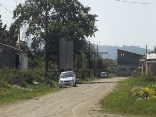 Imagem 8 de 17 de Terreno - Te00040 - 32674041
