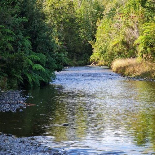 Parcela En Venta Sector Aguas Buenas En Ancud - Chiloe