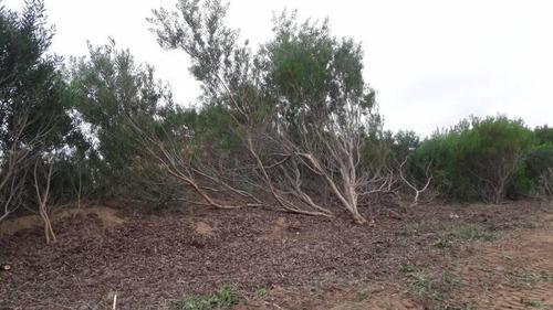 Imagen 5 de 20 de Terreno - Costa Esmeralda