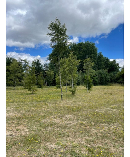 Venta / 2 Parcelas Molco - Una Con Casa / Ambas O Separadas