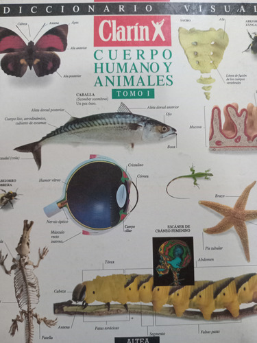Diccionario Visual Clarín Cuerpo Humano Y Animales Tomo 1 (Usado)