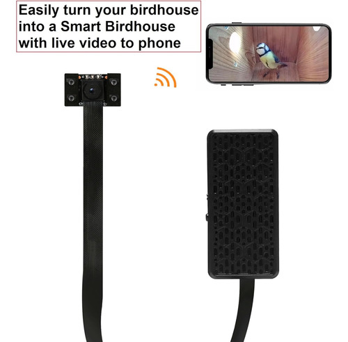 Cámara Wifi Wiwacam Bird Box 4k Hd Para Pajareras Color