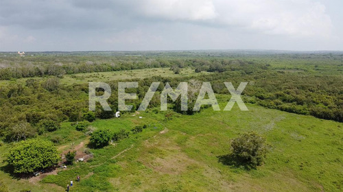 Terreno En Venta Tampico Alto