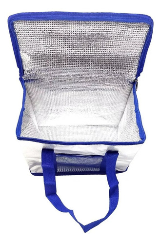 Pack 6 Bolsos Térmicos Coolers De Comida O Bebida 33x27cm