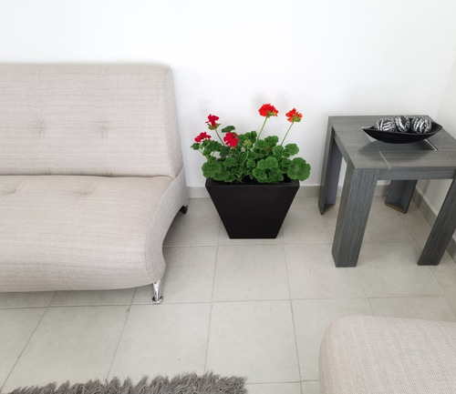 Imagen 3 de 5 de Maceta Minimalista Jardinera Mejor Que Fibra De Vidrio .79