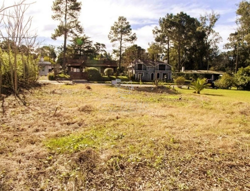 Imagen 4 de 4 de Terreno En Pinares Pda 32 De Playa Mansa - Punta Del Este Pinares