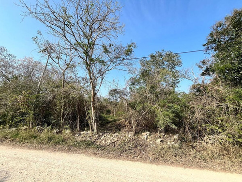 Merida Terreno Venta Cholul