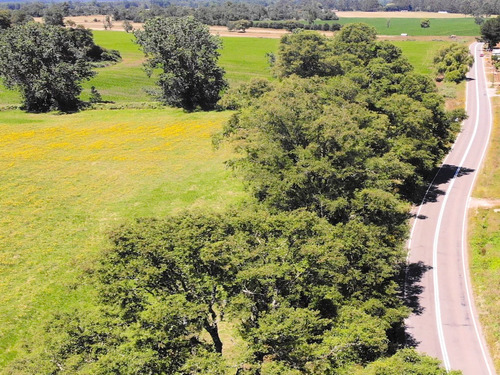 Parcelas A 15 Minutos De Frutillar 9 Millones De Descuento