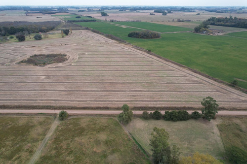Imagen 11 de 19 de Venta - Hermosa Chacra De 8,7 Hectareas