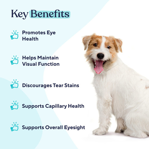 Los Masticables Blandos Eye Support Pawfy Previenen Las Manc