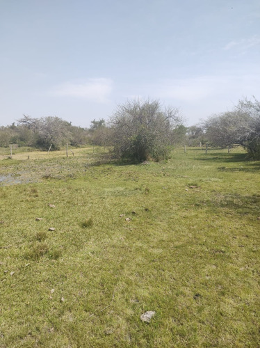 Imagen 13 de 15 de En Venta Chacra Mojones Norte 10.5 Ha
