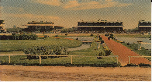 Turf Postal Hipodromo De Palermo Buenos Aires 10,5 X 19 Cm