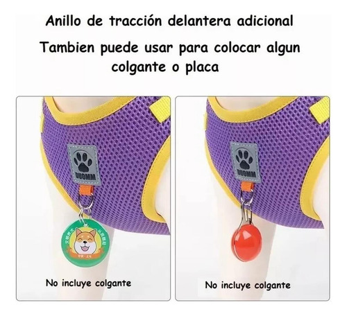 Cómodo Arnés Y Correa Para Perros Y Gatos