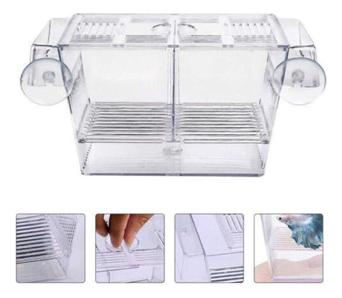 Caja Grande De Aislamiento Para Cría De Criaderos De Guppy P