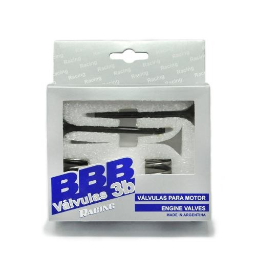 Kit Válvulas Admissão 3b Ktm Excf 250 08-13 Exc F 10155-3131