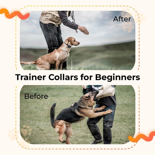 Collar Antiladridos Para Perros, Collar En E, Collar De C...