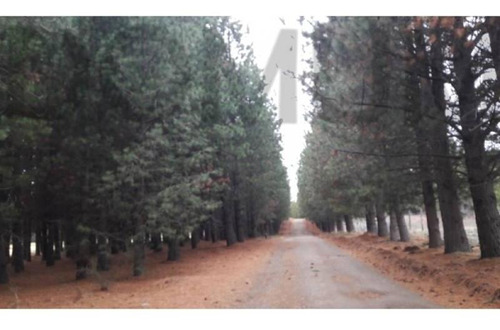 Imagen 9 de 14 de Lote De 1500 M2 Con Fondo Al Campo De Golf