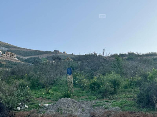 Sitio En Mirador Punta Pite Papudo