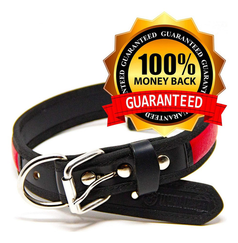 Collar Para Perro De Cuero De Primera Calidad Logical El De