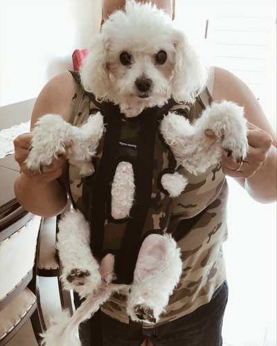 Imagen 2 de 3 de Mochila Para Perros Mochichunis Oferta Talle M