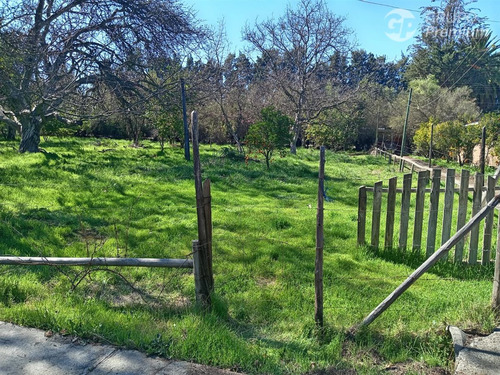 Parcela En Venta En San Felipe