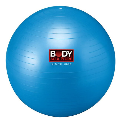 Gym Ball Bodysculpture Anti Burst