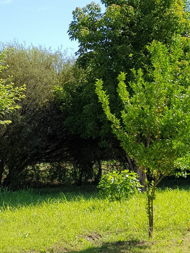 Venta Quinta Con Estanque Propio