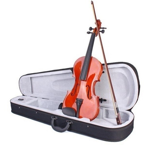 Violin 4/4 Con Estuche Strauss Mod St-v4
